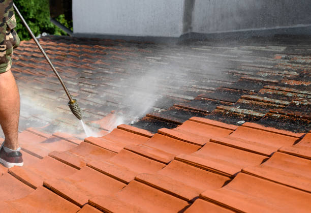 Best House Pressure Washing  in Waycross, GA